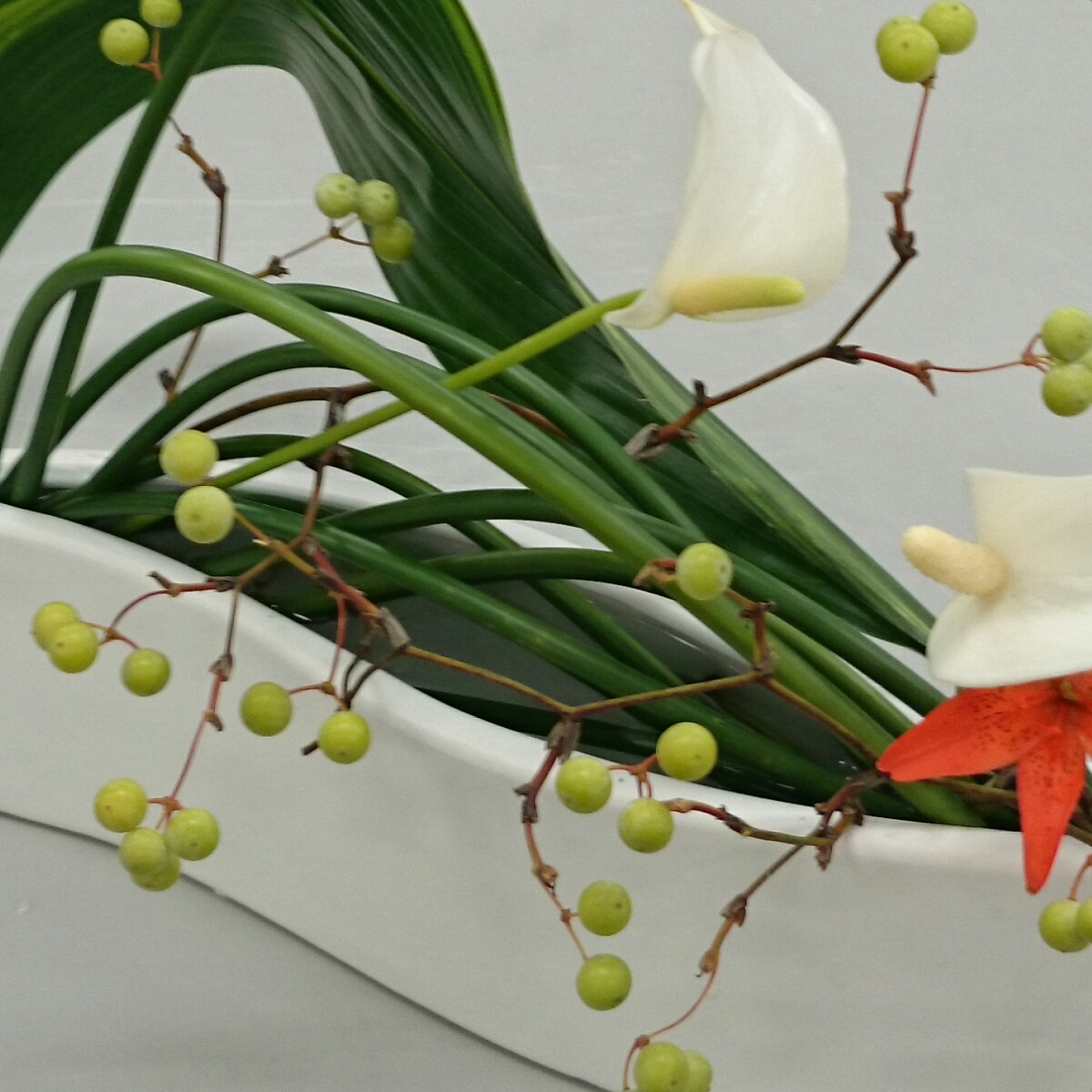 剣山やオアシスを使わない いけばな 鹿児島市 川邉佳乃